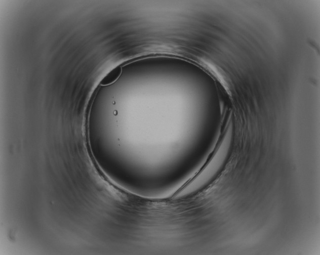 X0000091701339200708311045