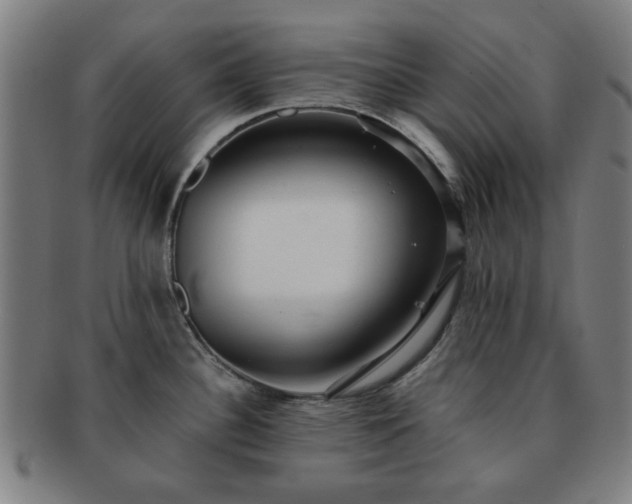 X0000091701340200708311045