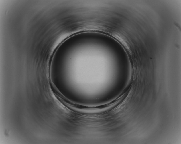 X0000091701342200708311045