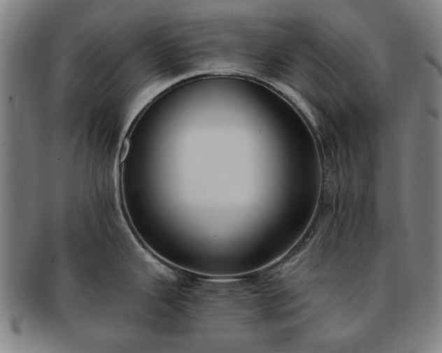 X0000091701343200708311045