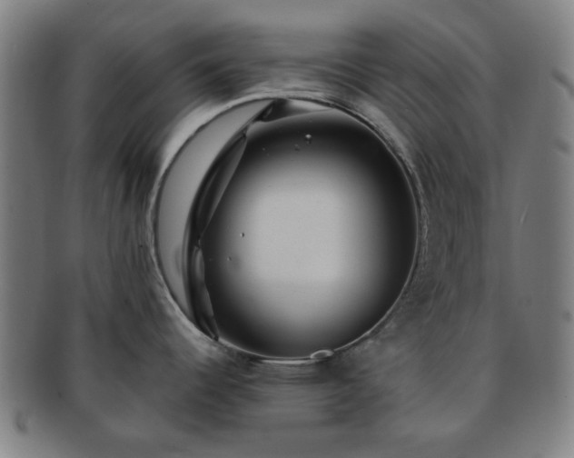 X0000091701344200708311045