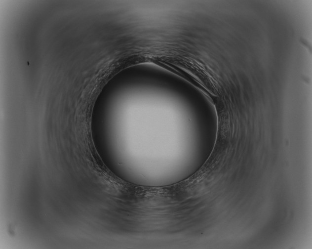 X0000091701345200708311044