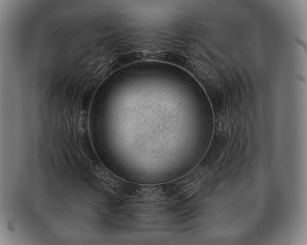 X0000091701346200708311044