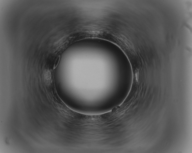 X0000091701347200708311044