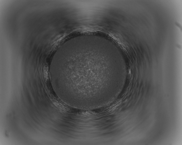 X0000091701348200708311044