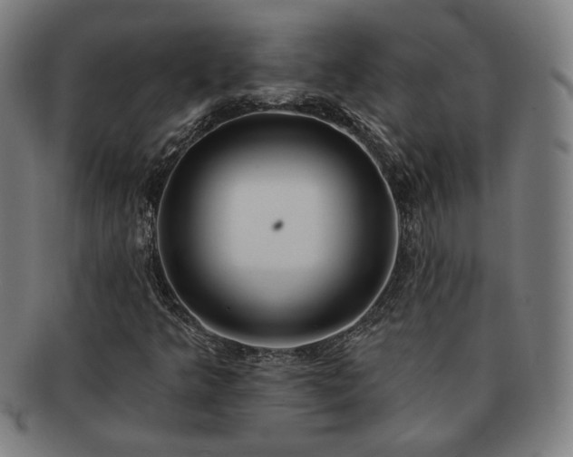 X0000091701349200708311044