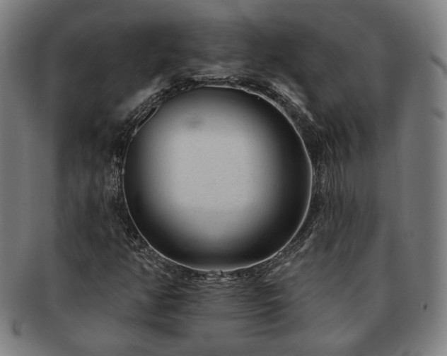 X0000091701350200708311044