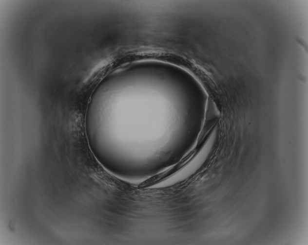 X0000091701351200708311044