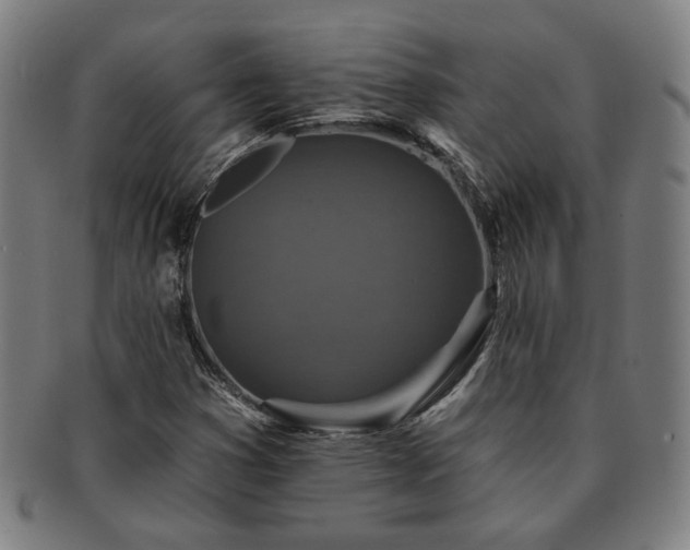 X0000091701353200708311044