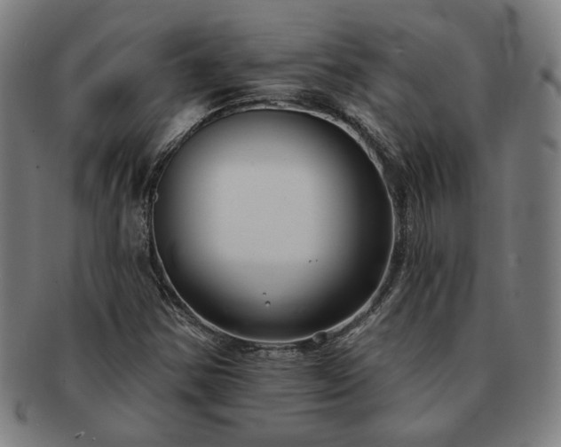 X0000091701354200708311044