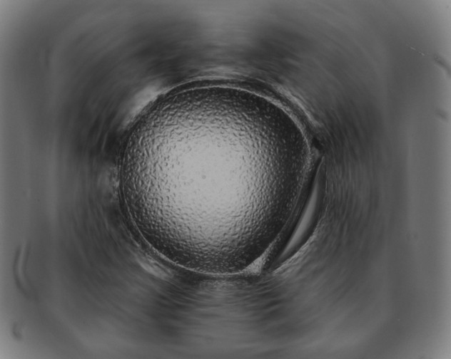 X0000091701355200708311044