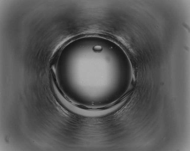 X0000091701356200708311044