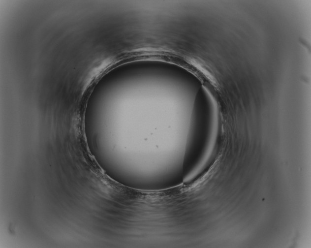 X0000091701357200708311044