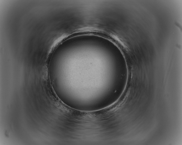 X0000091701358200708311044