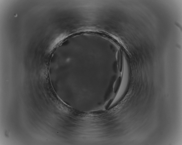 X0000091701359200708311044