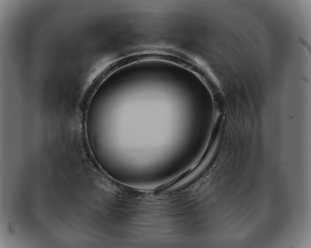 X0000091701360200708311044