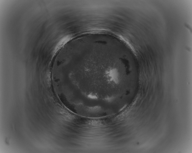 X0000091701362200708311043