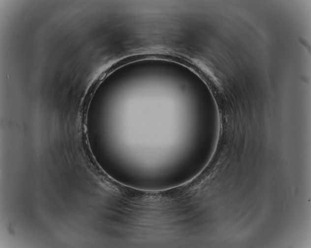 X0000091701364200708311043