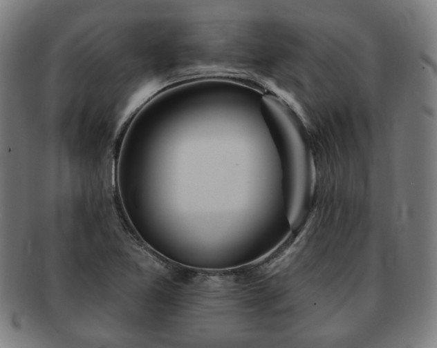 X0000091701365200708311043
