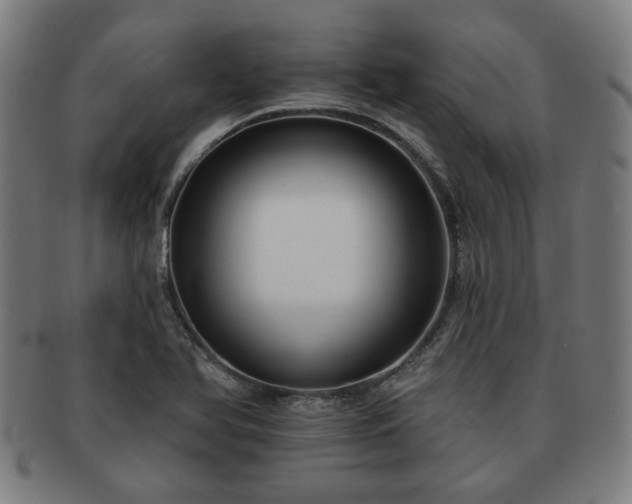 X0000091701366200708311043