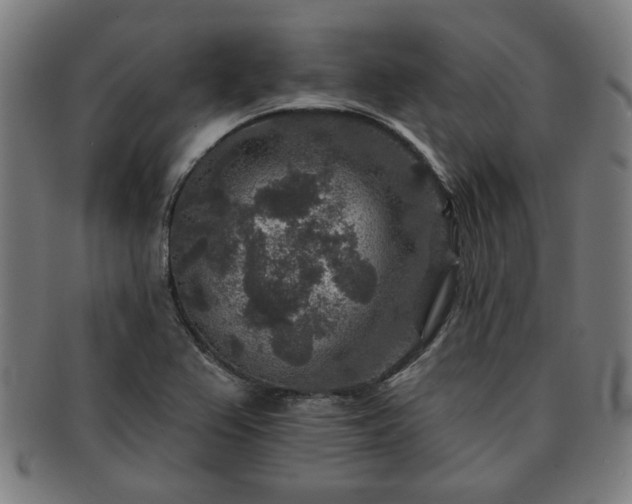X0000091701367200708311043