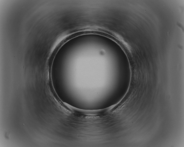 X0000091701368200708311043