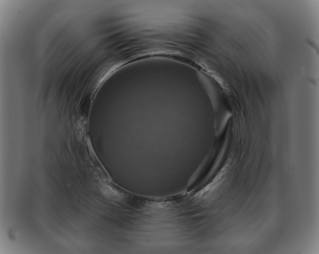 X0000091701369200708311043