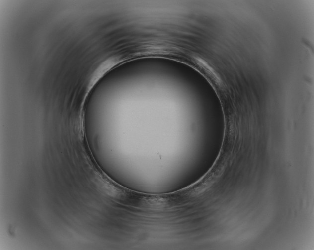X0000091701370200708311043