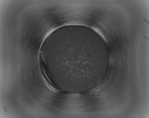 X0000091701372200708311043
