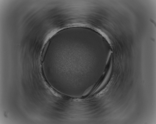 X0000091701373200708311043