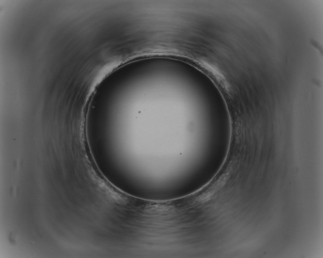 X0000091701374200708311043