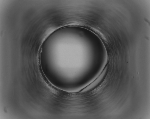 X0000091701375200708311043