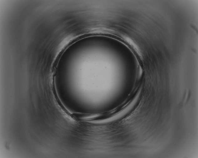 X0000091701376200708311043
