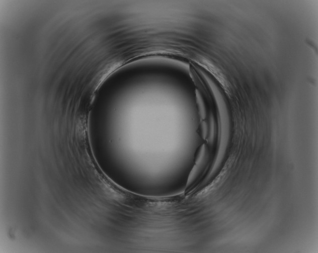 X0000091701377200708311043
