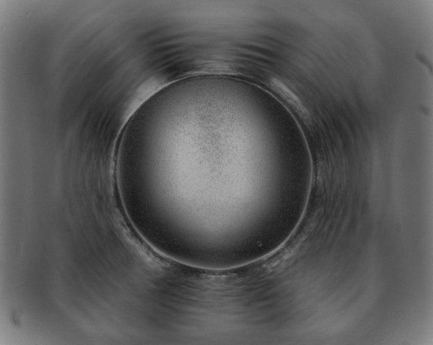 X0000091701378200708311043