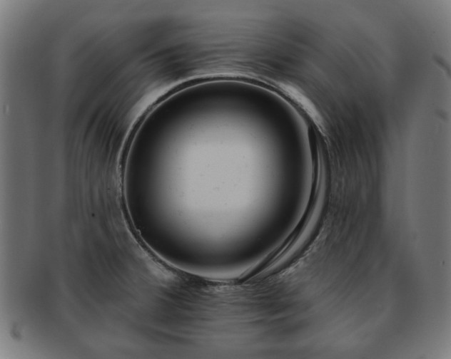 X0000091701380200708311043