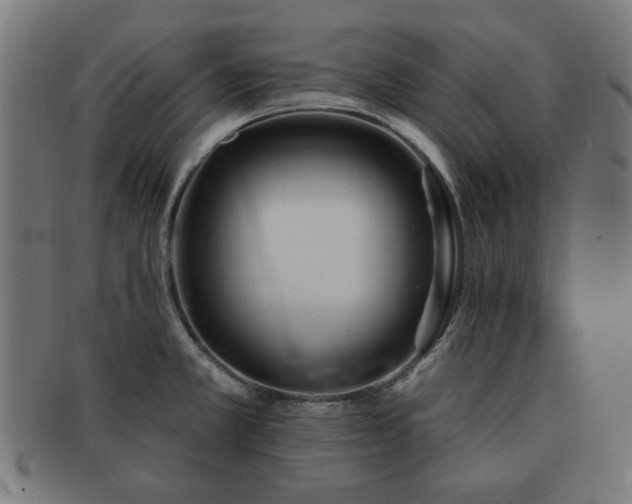 X0000091701381200708311043