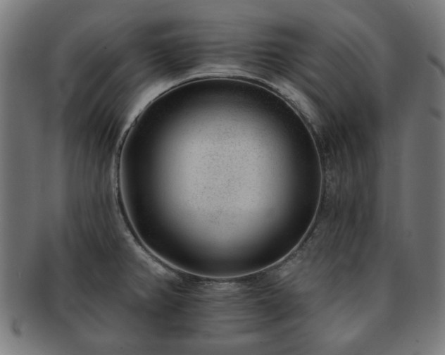 X0000091701382200708311043