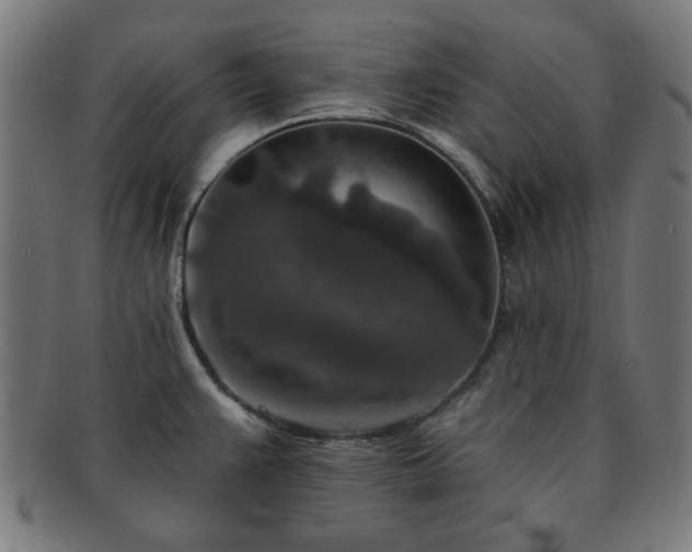 X0000091701383200708311043