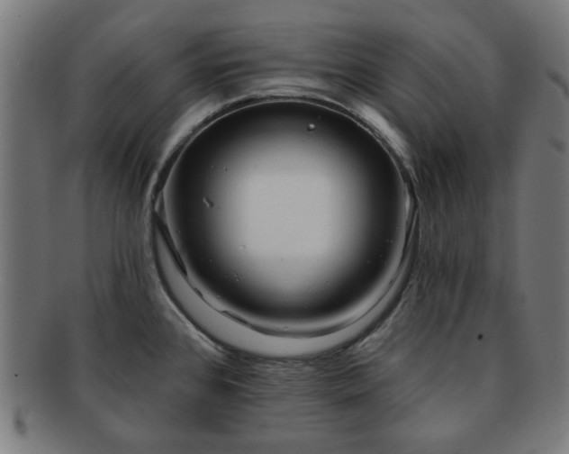 X0000091701384200708311043