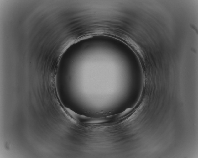 X0000091701385200708311043