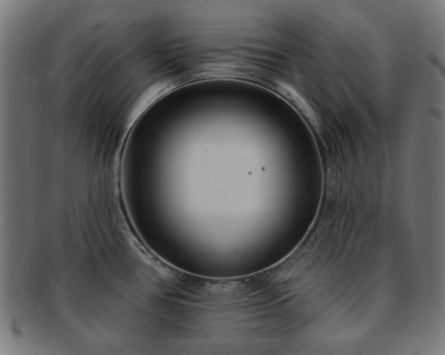 X0000091701386200708311043