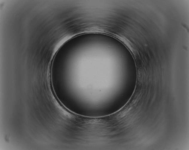 X0000091701387200708311043