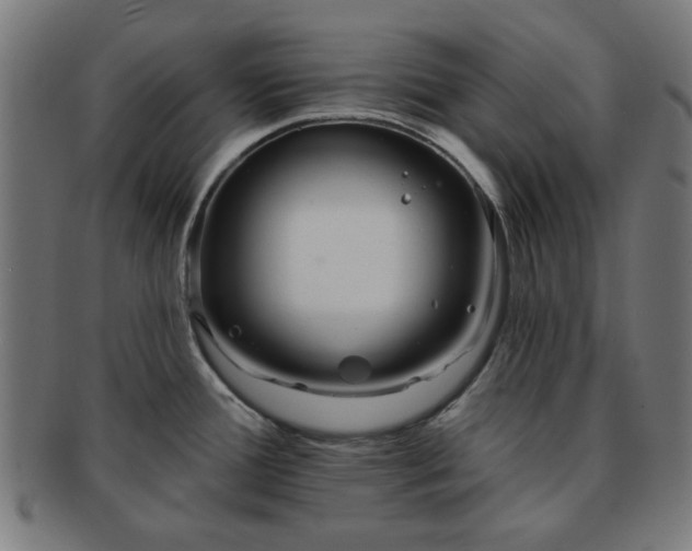 X0000091701388200708311043