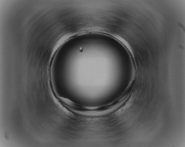 X0000091701389200708311043