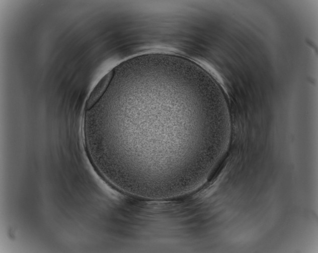 X0000091701391200708311043