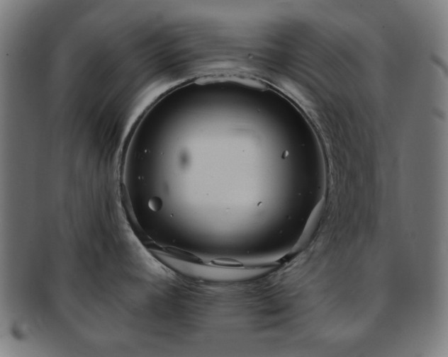 X0000091701392200708311043