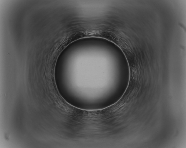X0000091701393200708311042