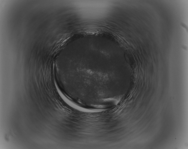 X0000091701394200708311042