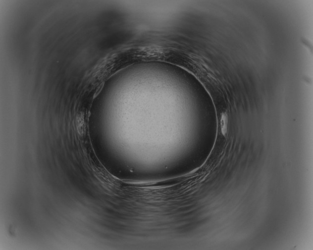 X0000091701395200708311042